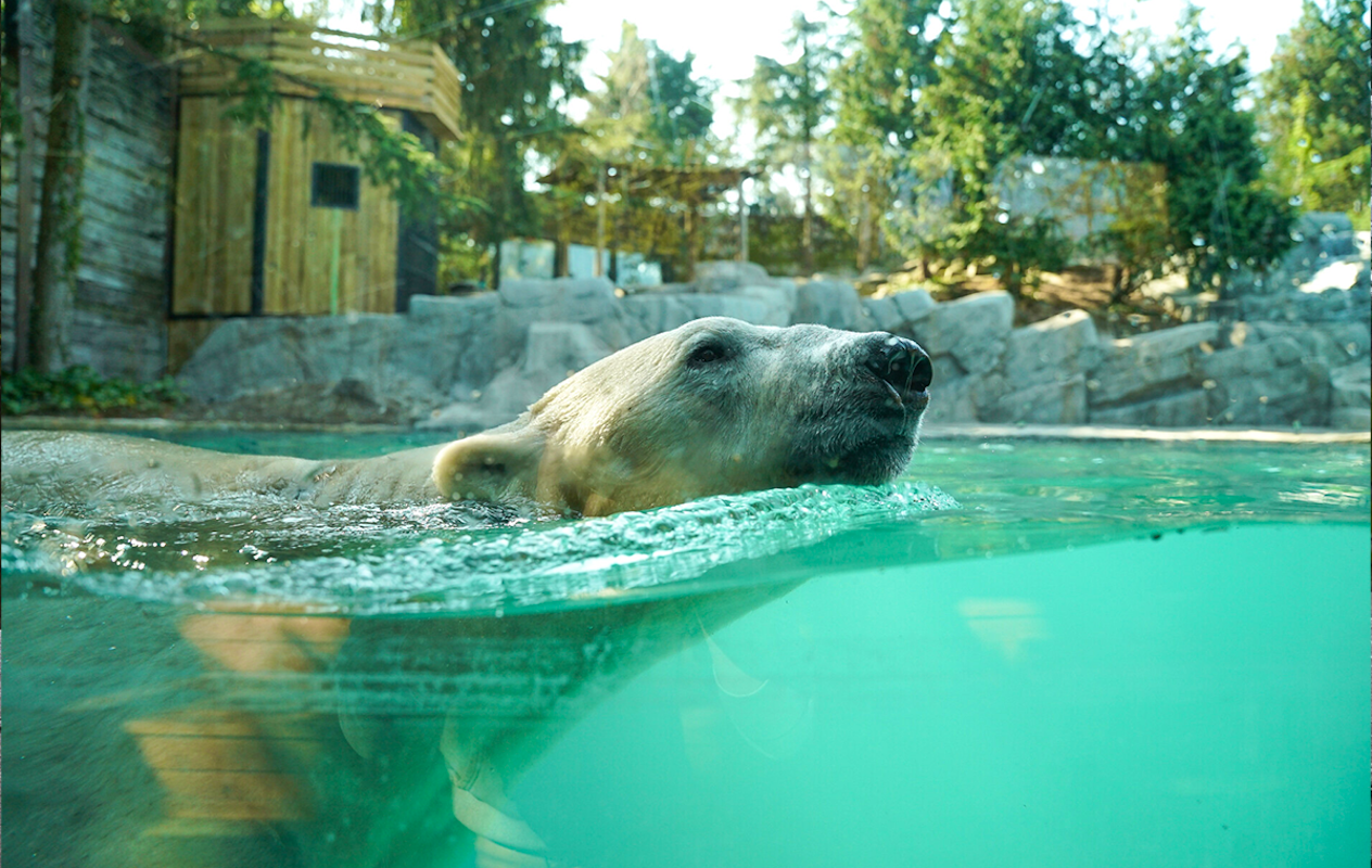 Entreeticket Zoo d'Amnéville