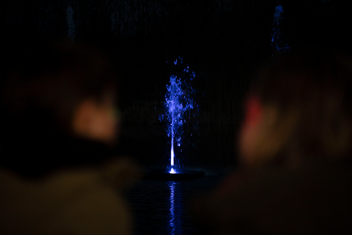 Entreeticket BloteVoetenPark Enlightened