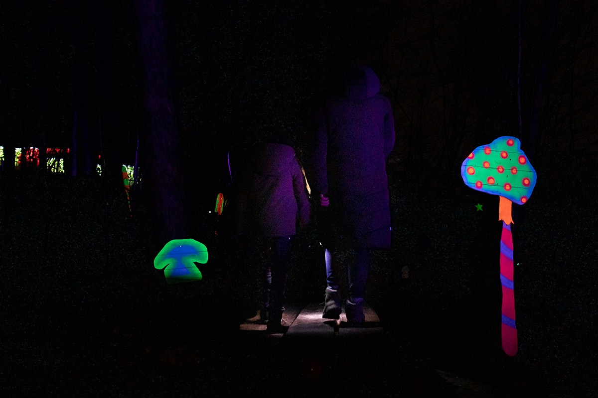 Entreeticket BloteVoetenPark Enlightened