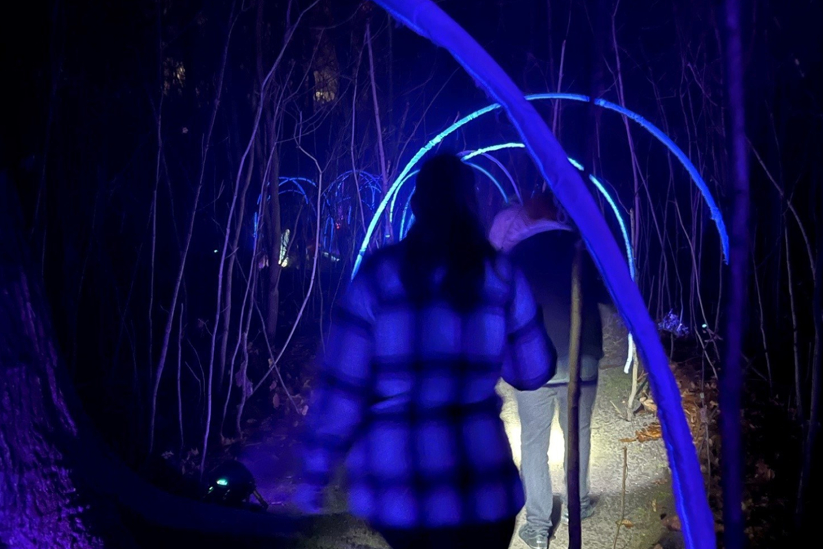 Entreeticket BloteVoetenPark Enlightened