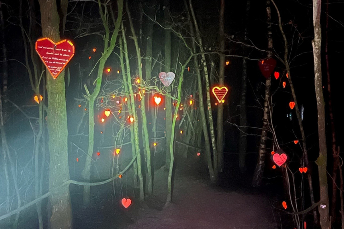 Entreeticket BloteVoetenPark Enlightened