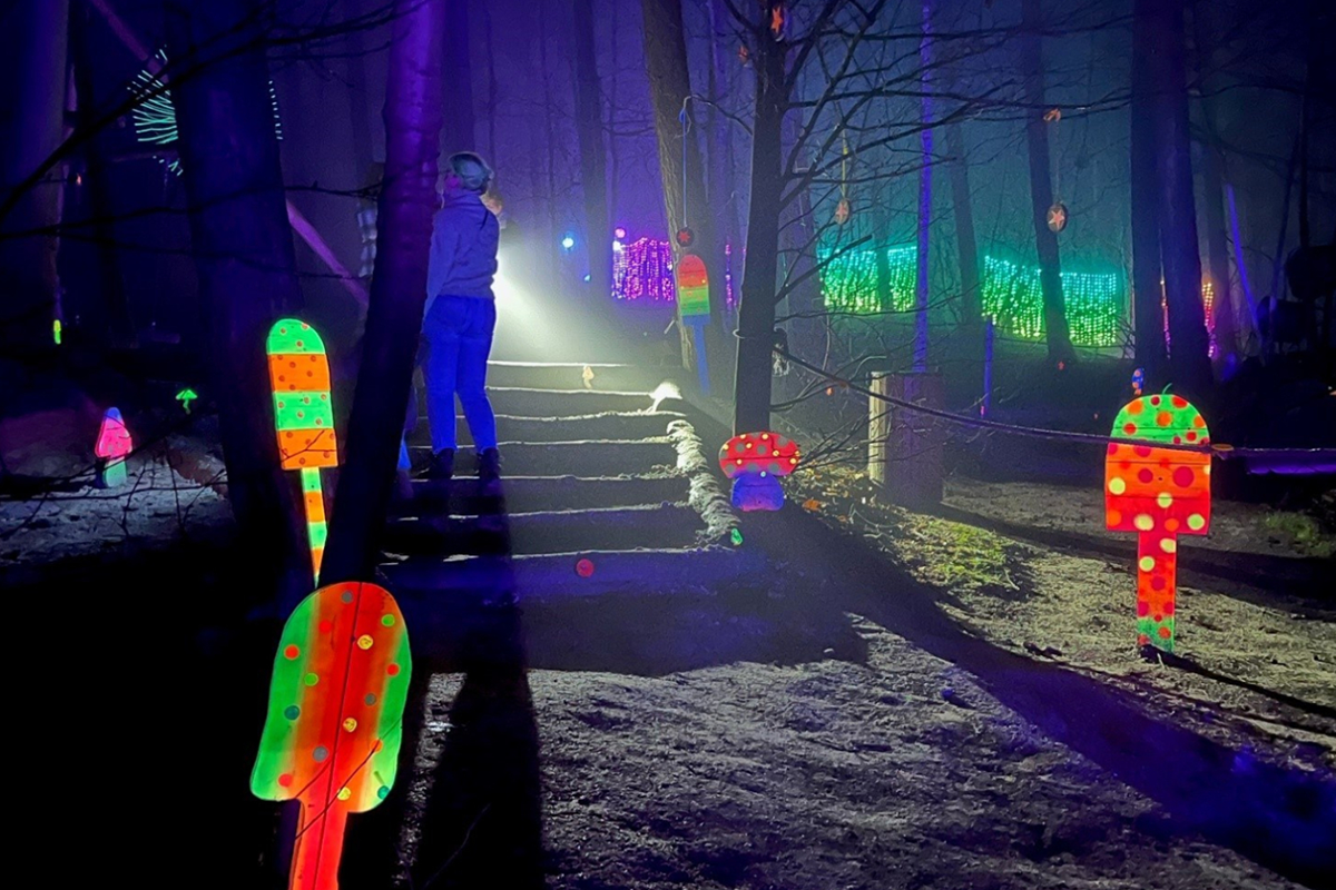 Entreeticket BloteVoetenPark Enlightened