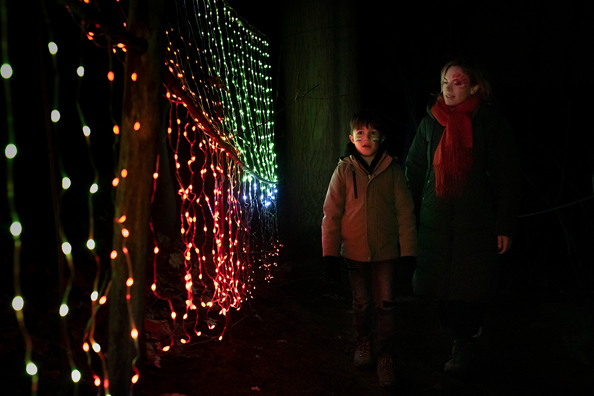 Entreeticket BloteVoetenPark Enlightened