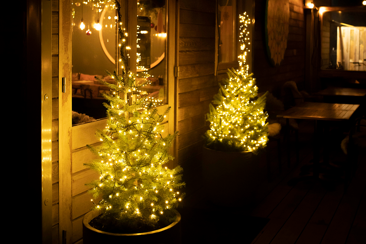 Entreeticket BloteVoetenPark Enlightened