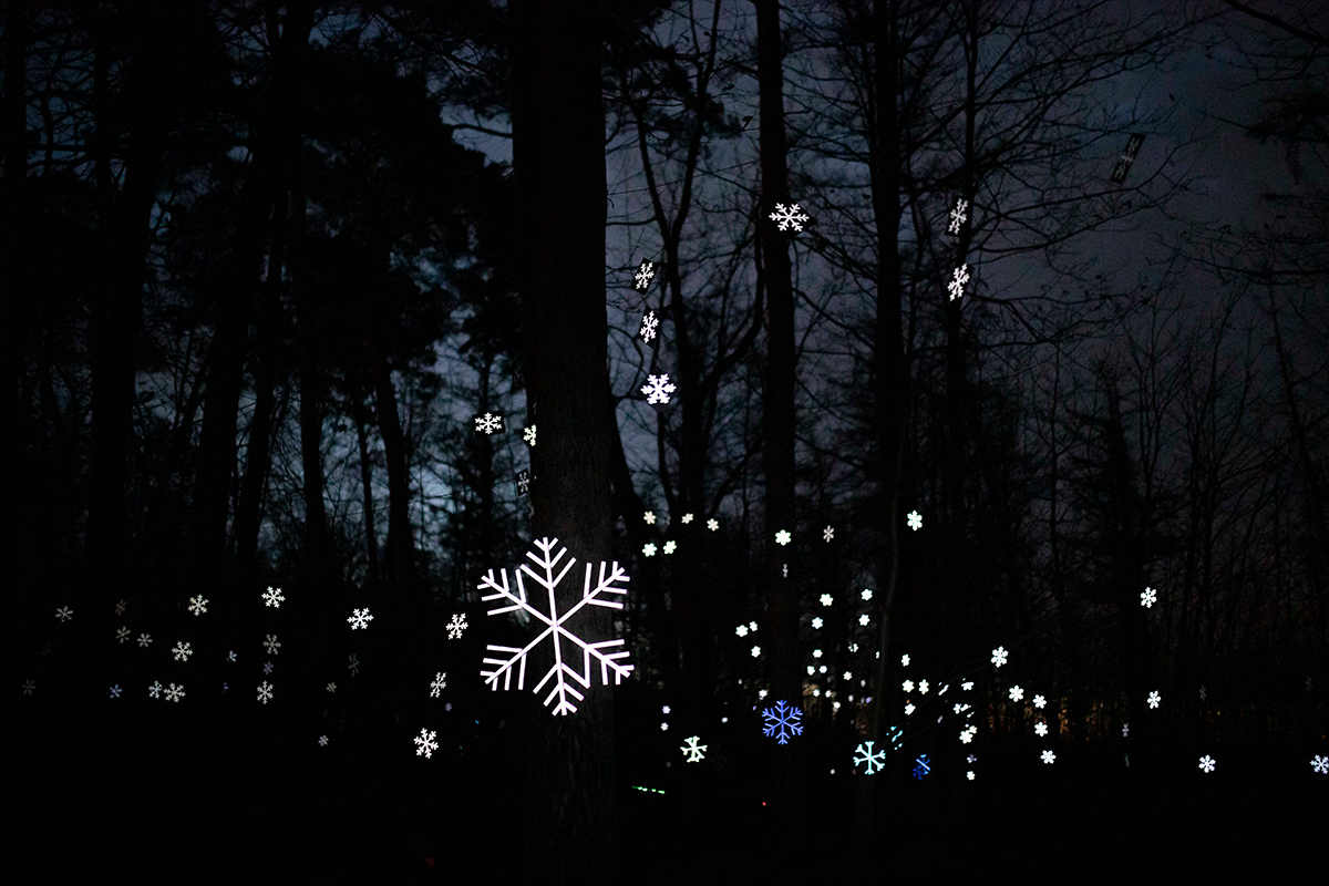 Entreeticket BloteVoetenPark Enlightened