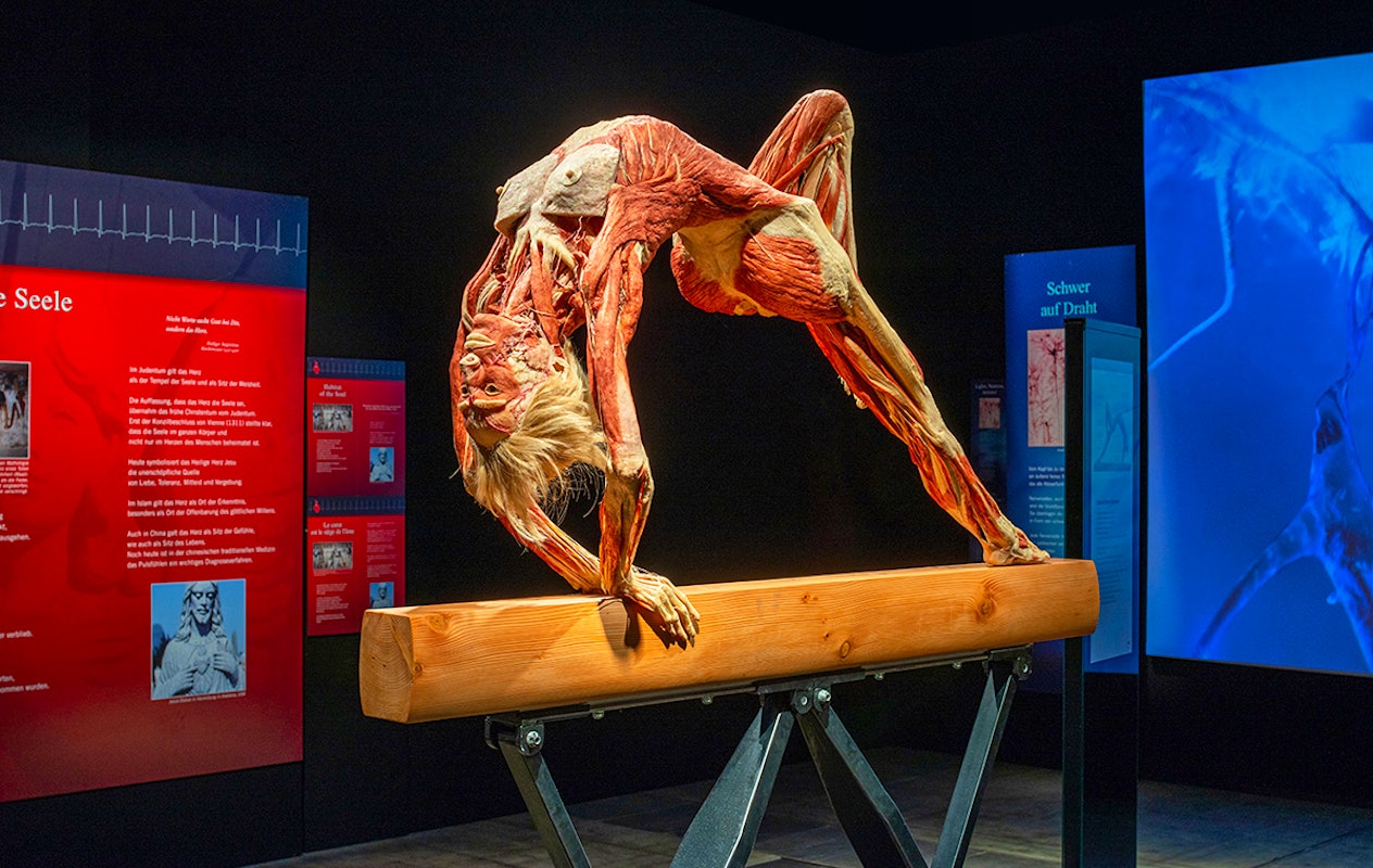 Entreeticket BODY WORLDS Brugge