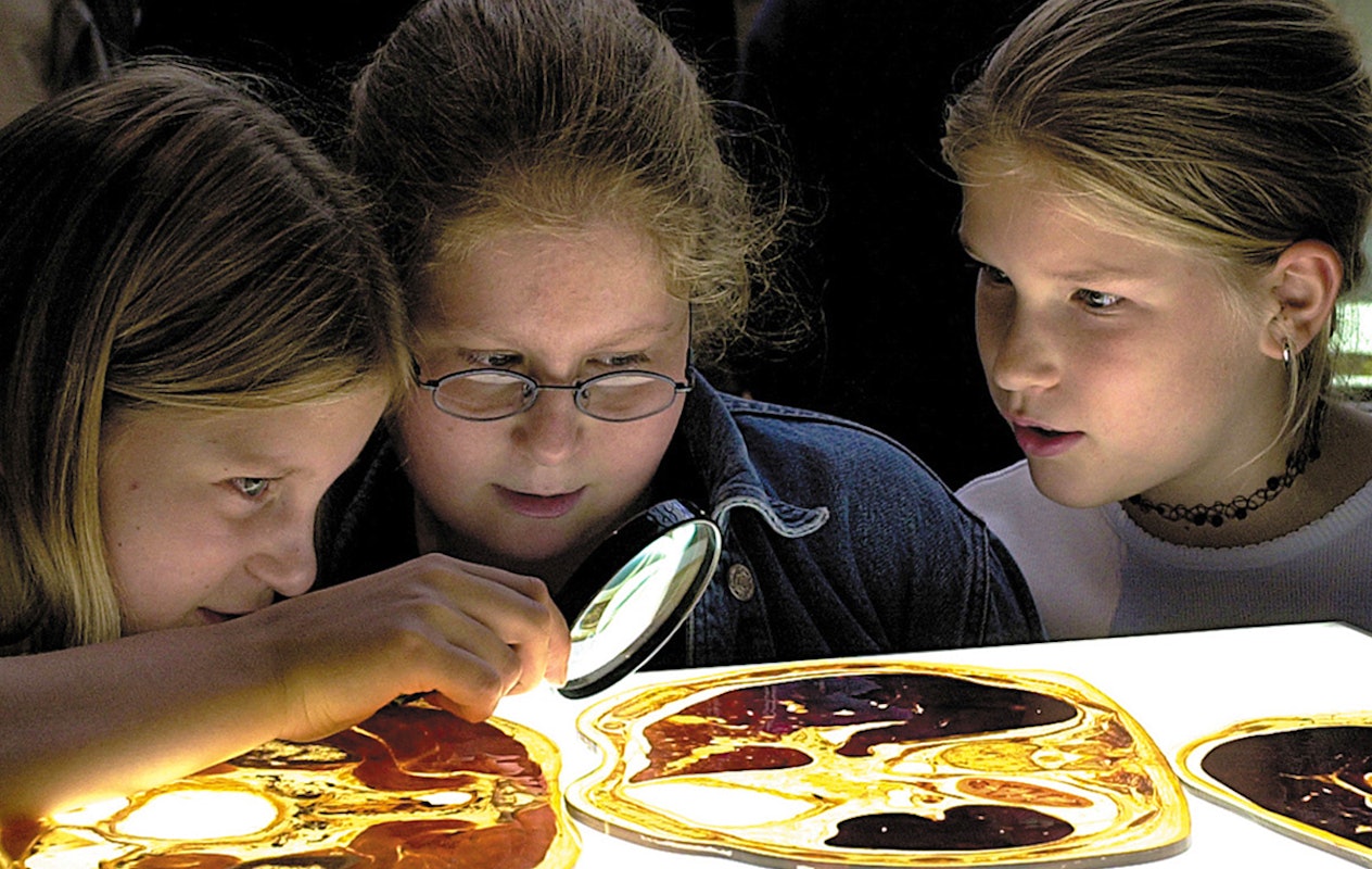 Entreeticket BODY WORLDS Brugge