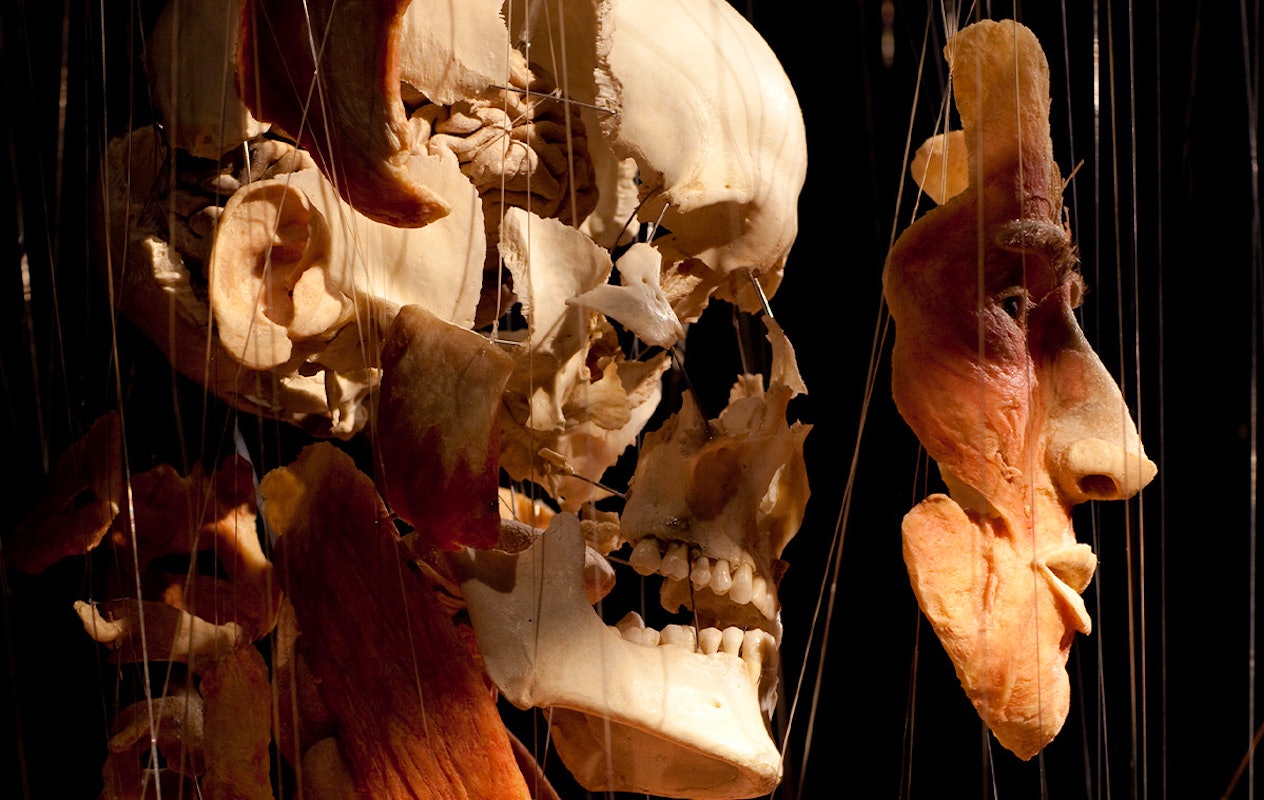 Entreeticket BODY WORLDS Brugge