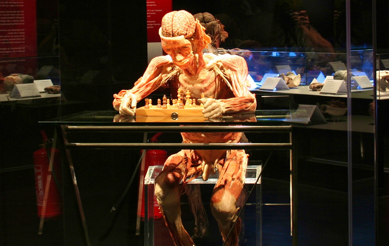 Entreeticket BODY WORLDS Brugge