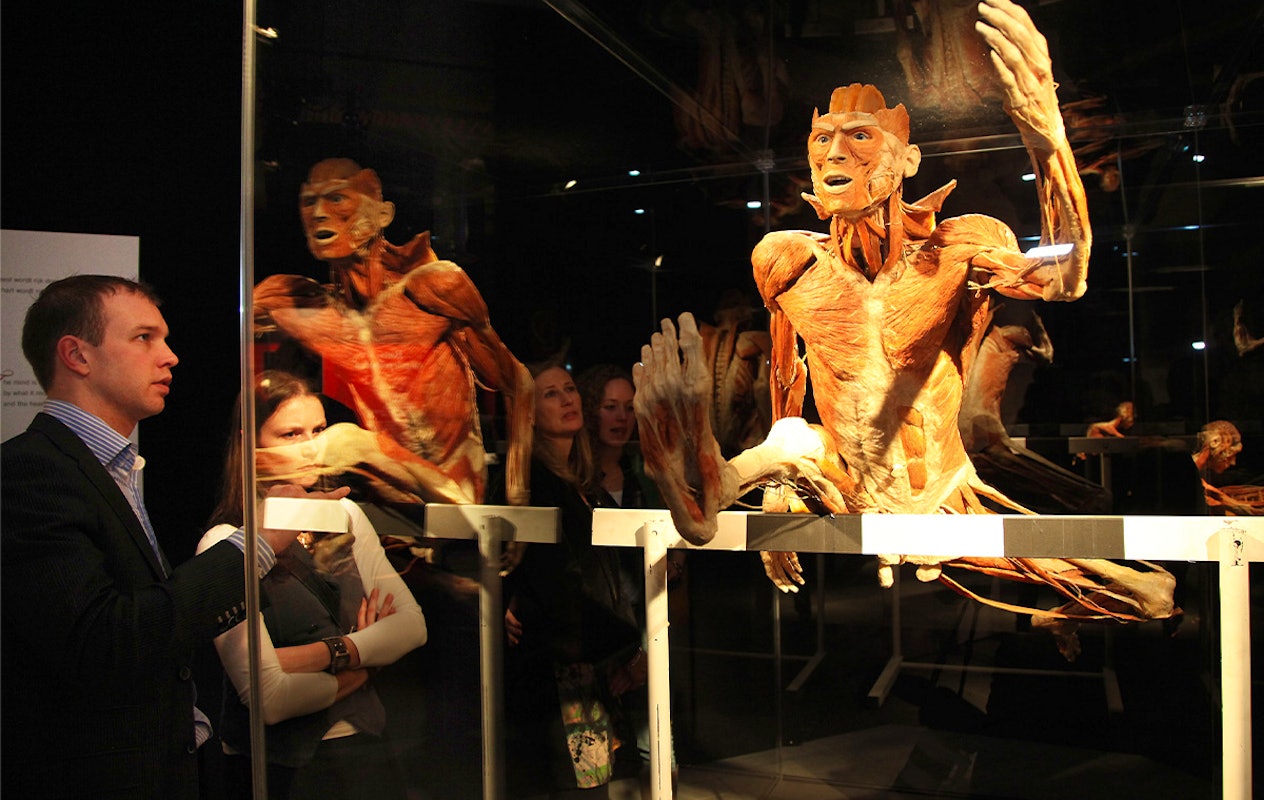 Entreeticket BODY WORLDS Brugge