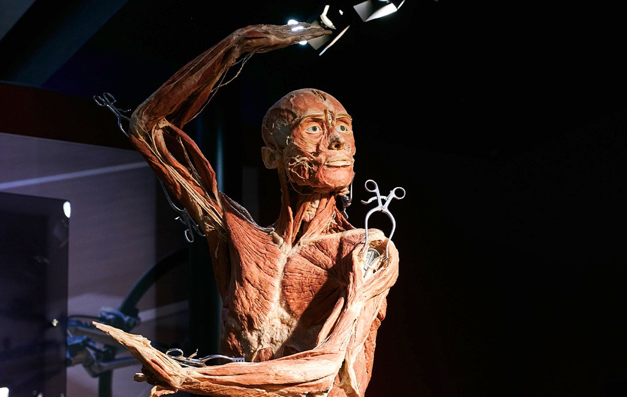 Entreeticket BODY WORLDS Brugge