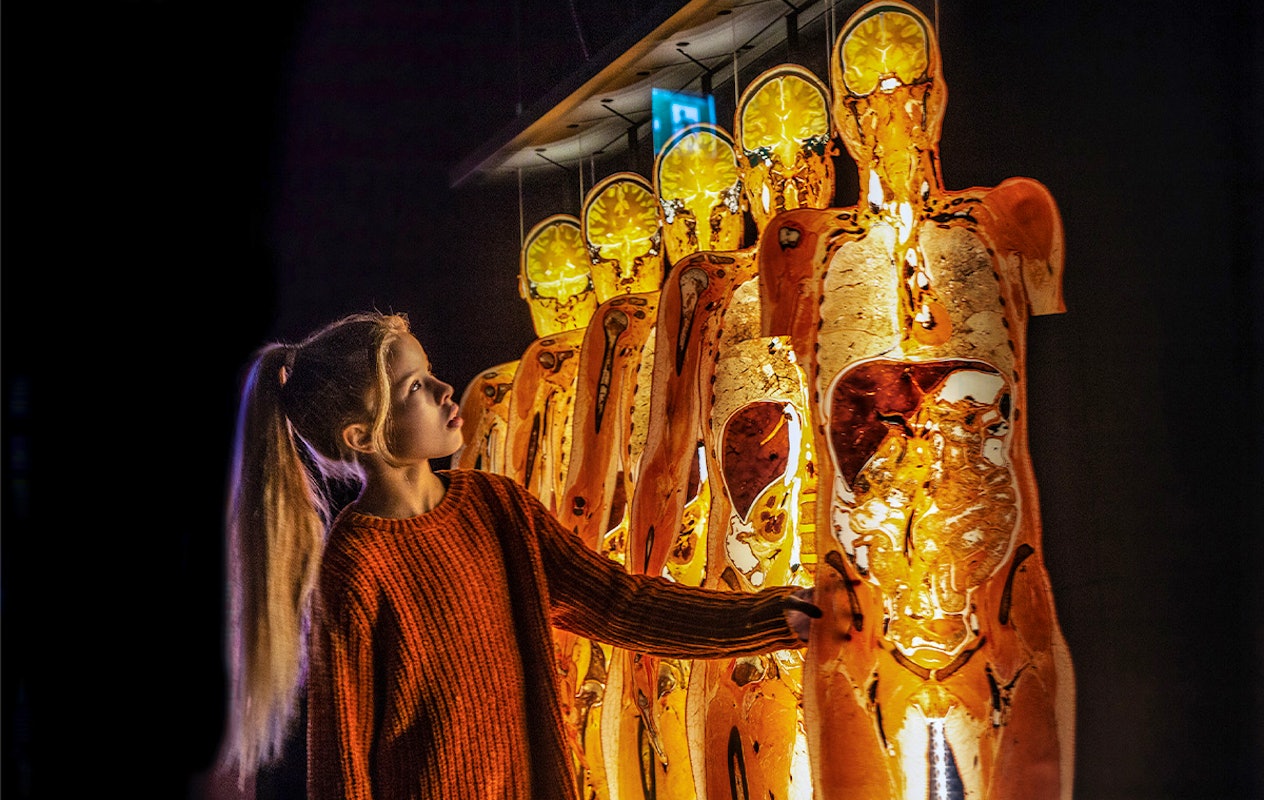 Entreeticket BODY WORLDS Brugge