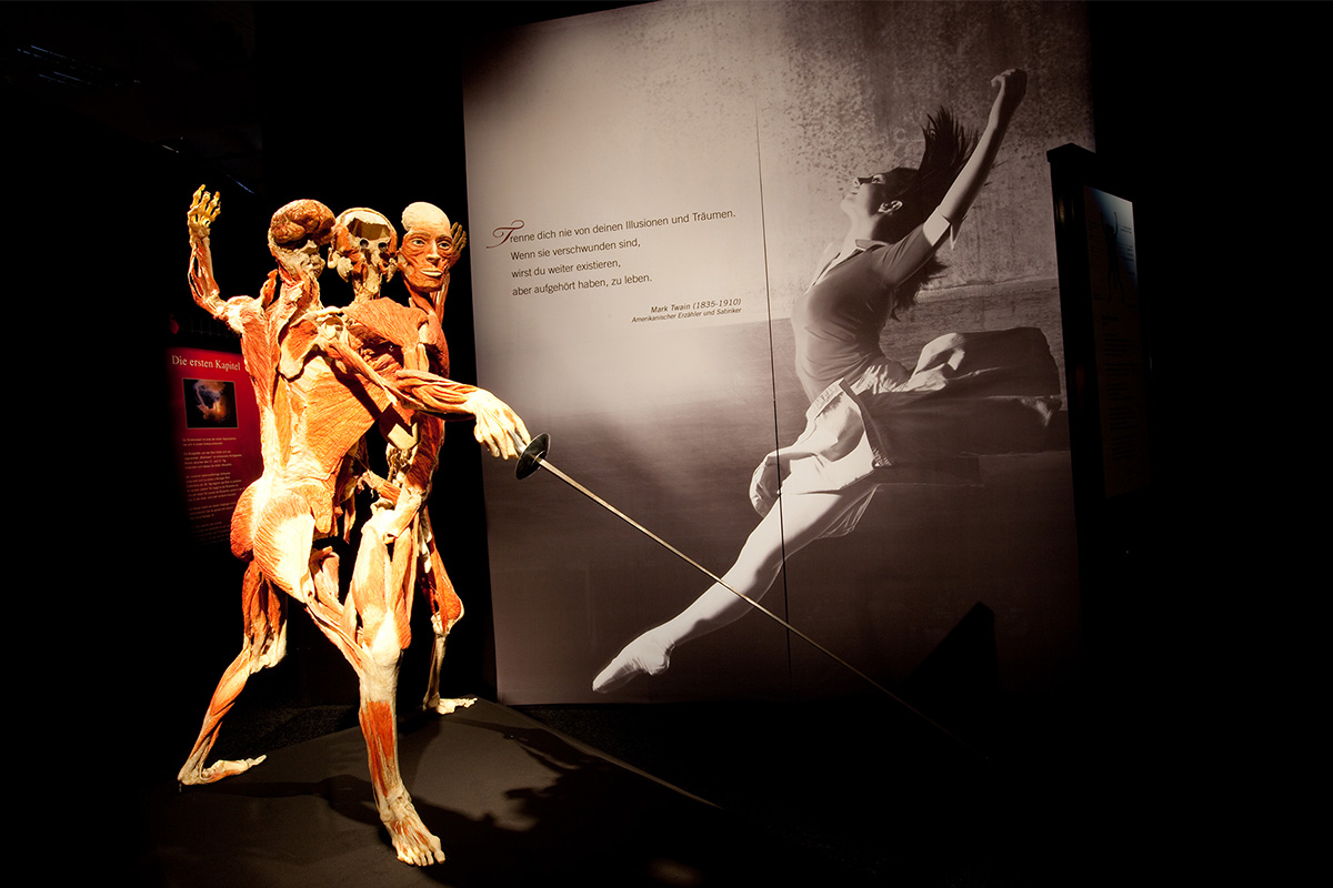 Entreeticket BODY WORLDS Brugge