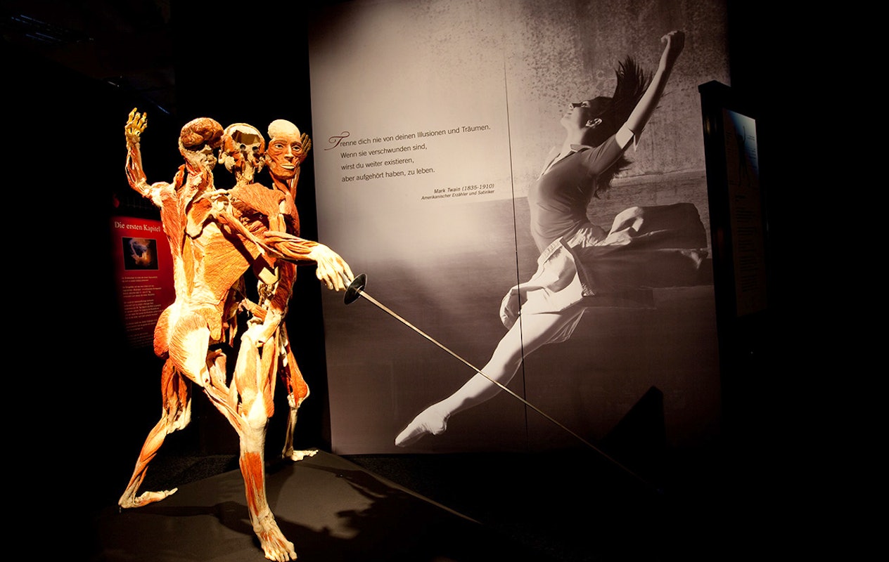 Entreeticket BODY WORLDS Brugge