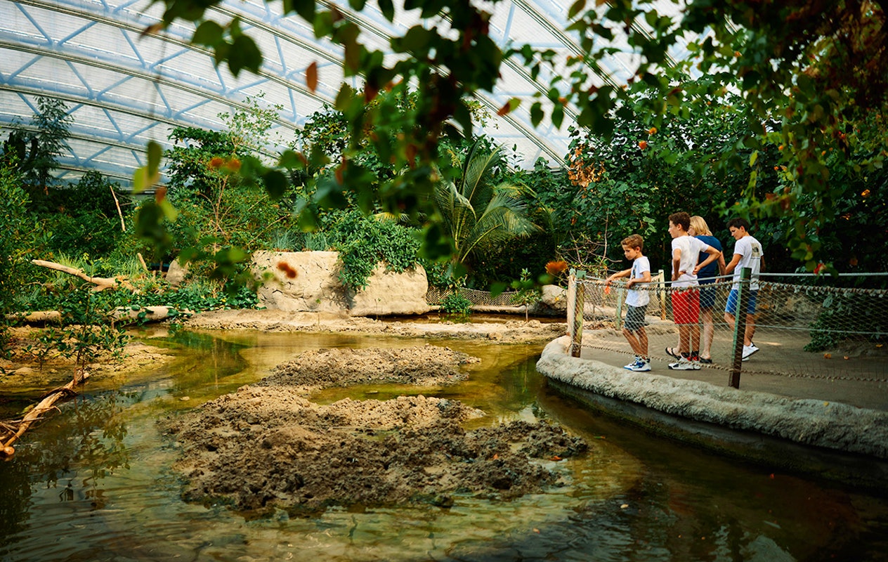 Entreeticket Burgers' Zoo