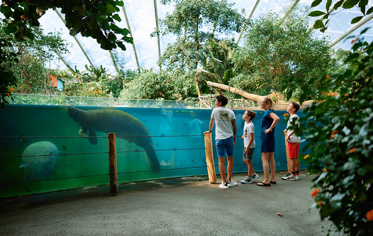 Entreeticket Burgers' Zoo