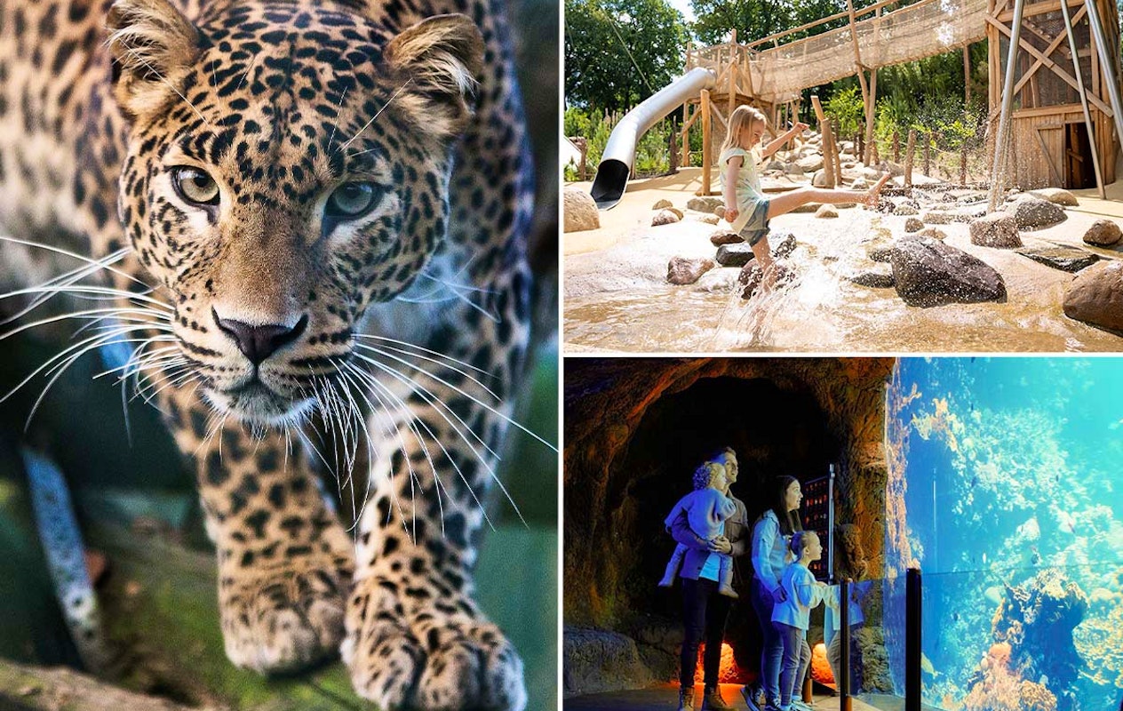Entreeticket Burgers' Zoo