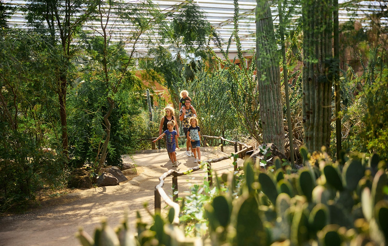 Entreeticket Burgers' Zoo