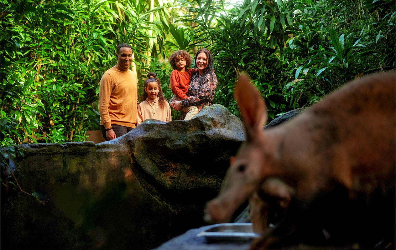 Entreeticket Burgers' Zoo