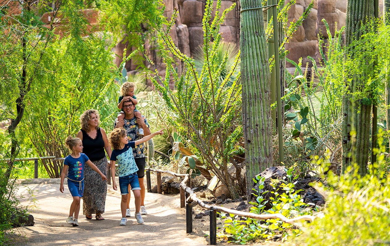 Entreeticket Burgers' Zoo