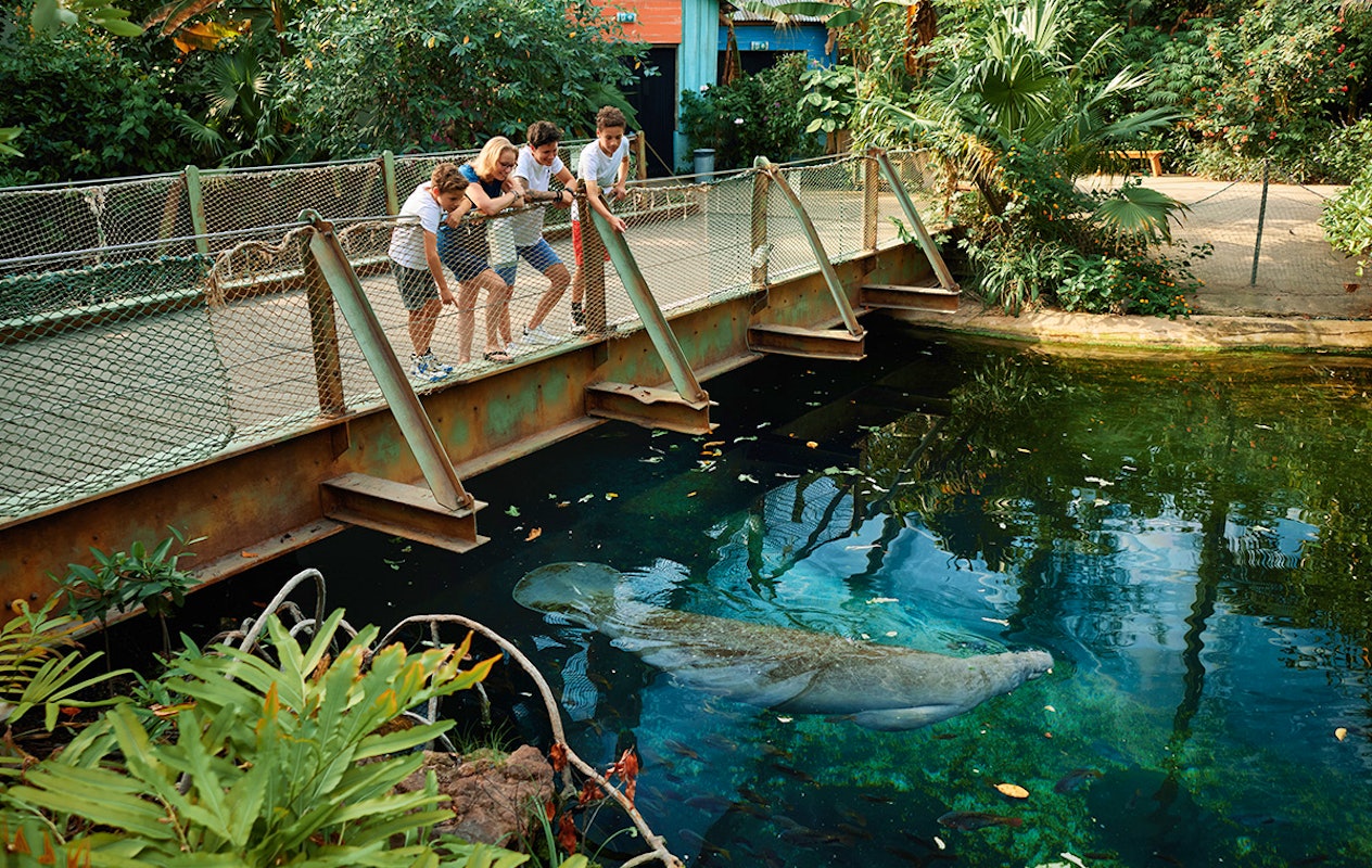 Entreeticket Burgers' Zoo