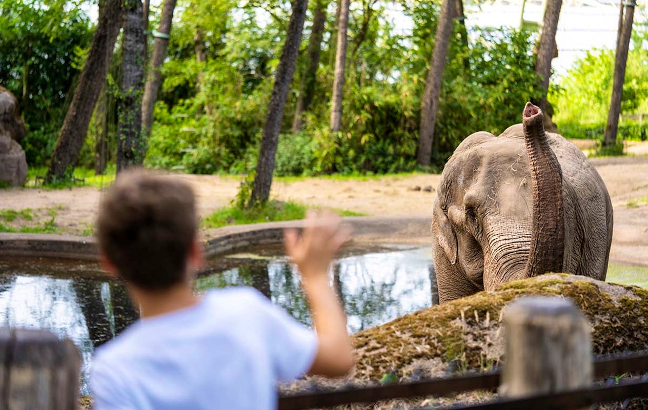 Entreeticket Burgers' Zoo