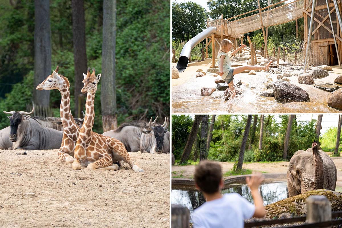 Burgers' Zoo tickets