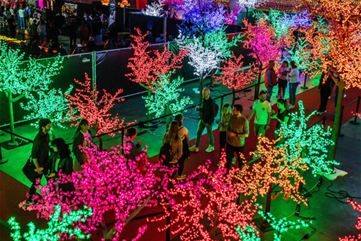 Entreeticket Cherry Blossom Light & Food Festival