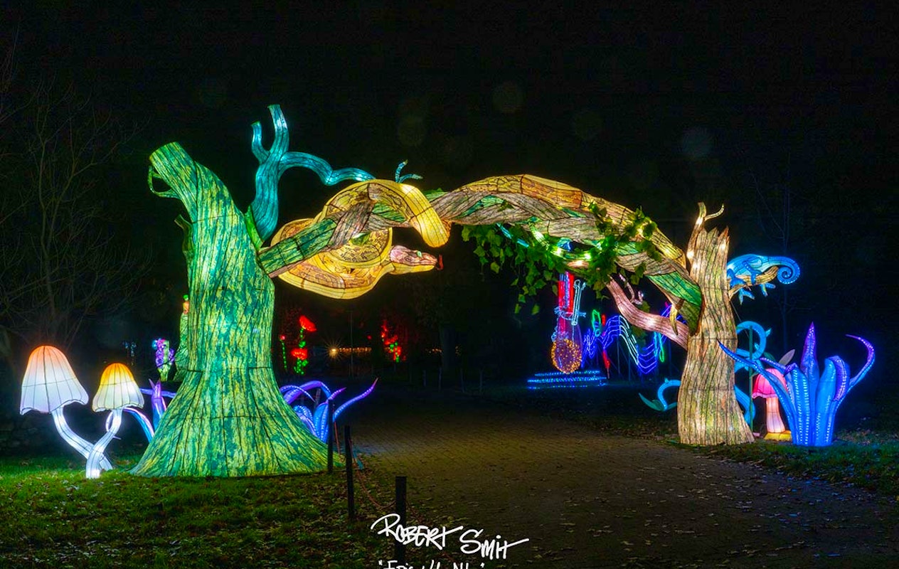 Entreeticket China Lights Emmen