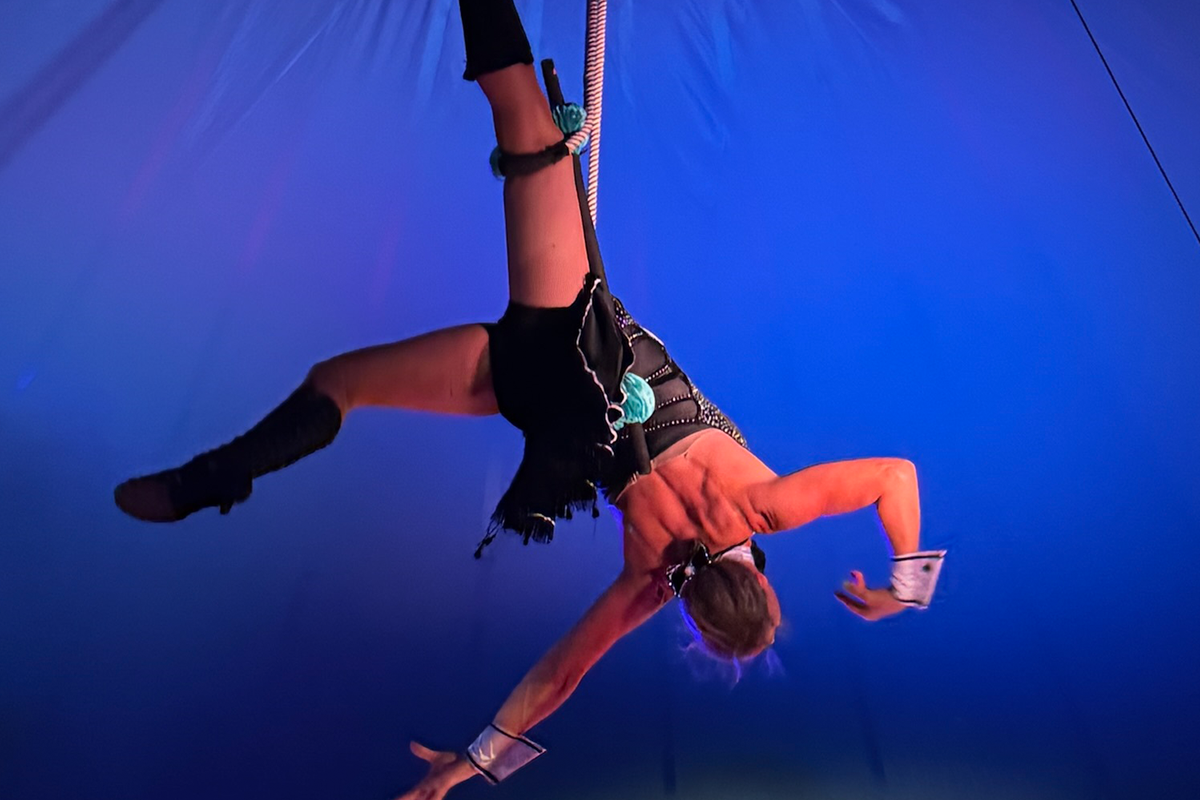 Entreeticket Circus Art Theater Festival