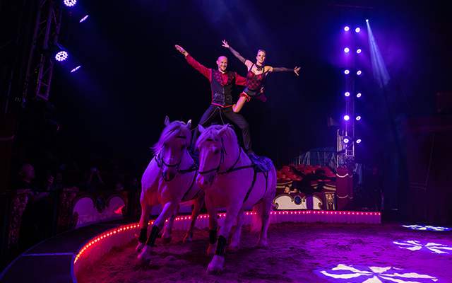 Entreeticket Circus Maximum