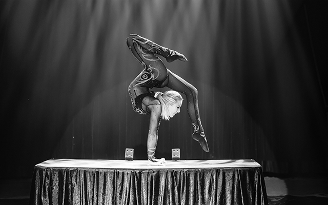 Entreeticket Circus Maximum