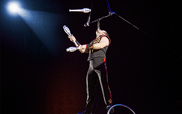 Entreeticket Circus Maximum