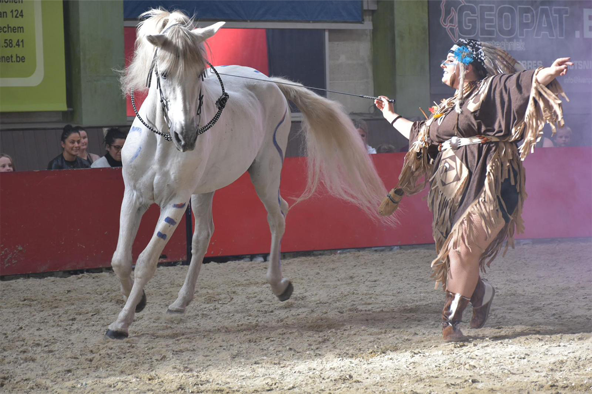 Entreeticket Dancing with Horses