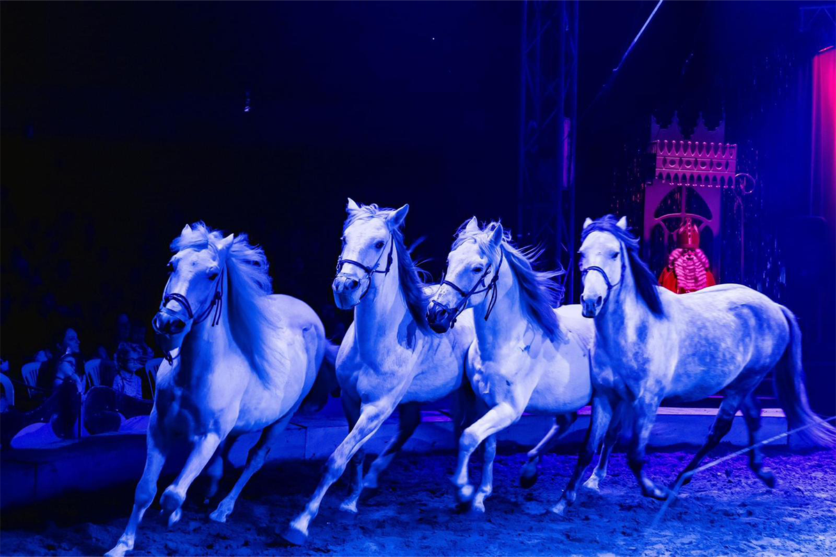 Entreeticket Dancing with Horses