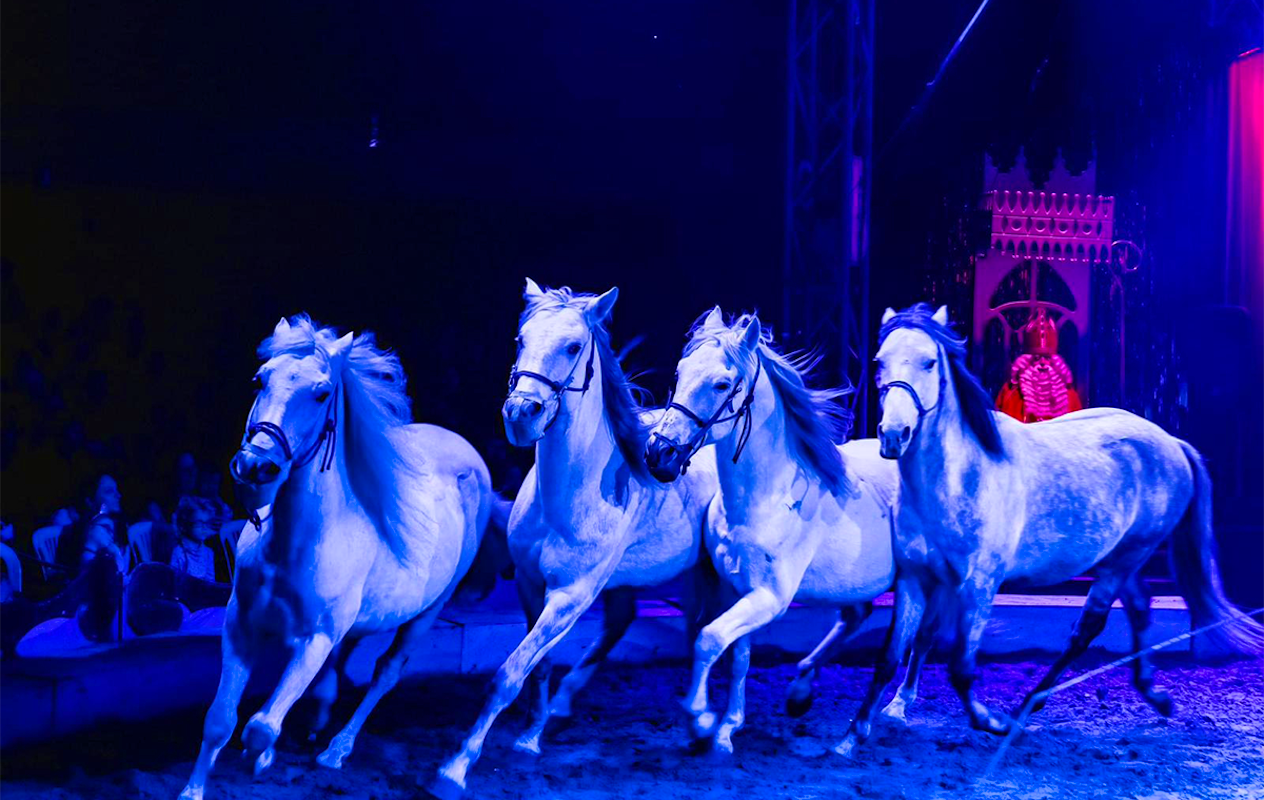 Entreeticket Dancing with Horses