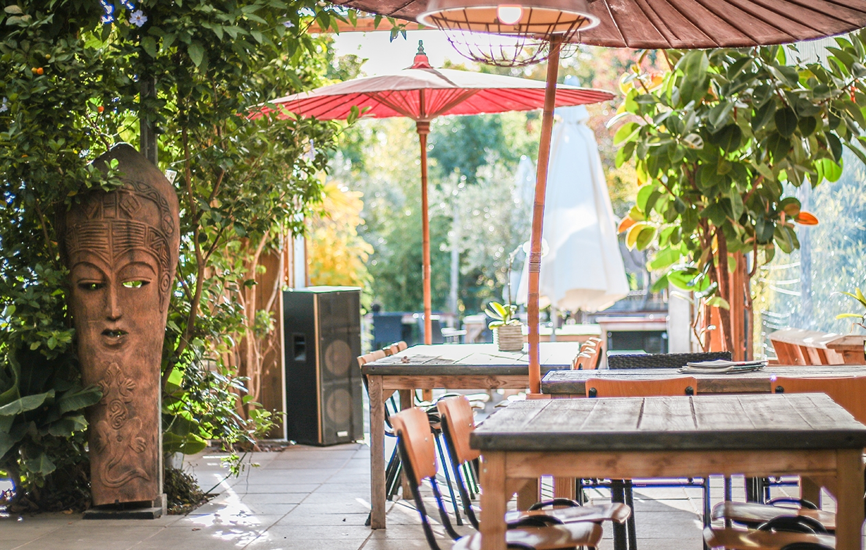 Entreeticket Almere Jungle + hapje en drankje