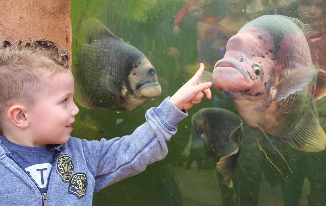 Entreeticket Almere Jungle + hapje en drankje