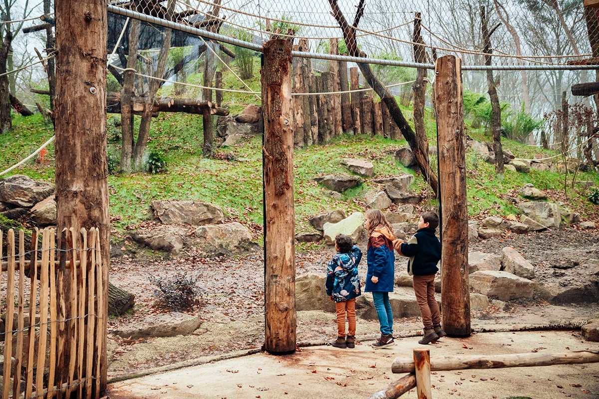 Entreeticket DierenPark Amersfoort