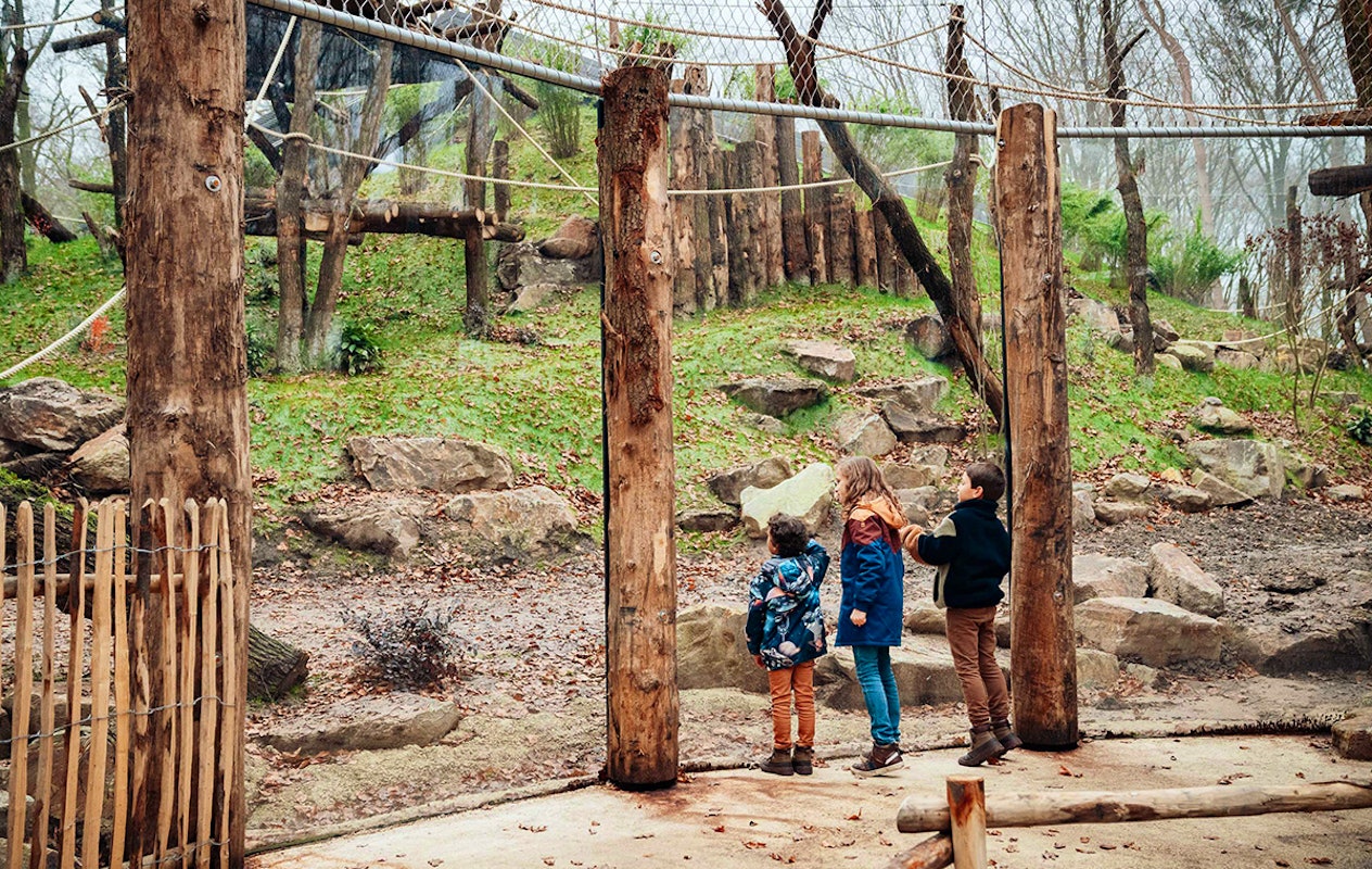 Entreeticket DierenPark Amersfoort