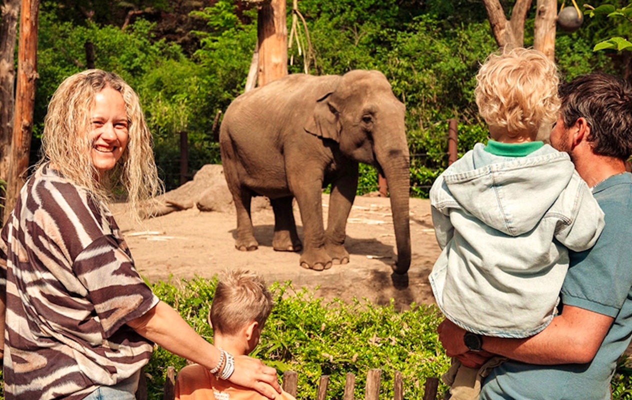 Entreeticket DierenPark Amersfoort