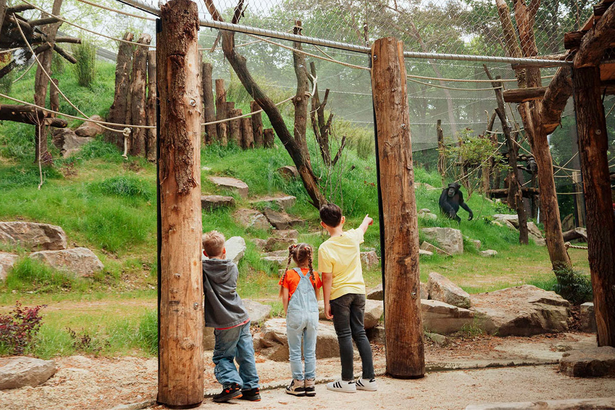 Entreeticket DierenPark Amersfoort