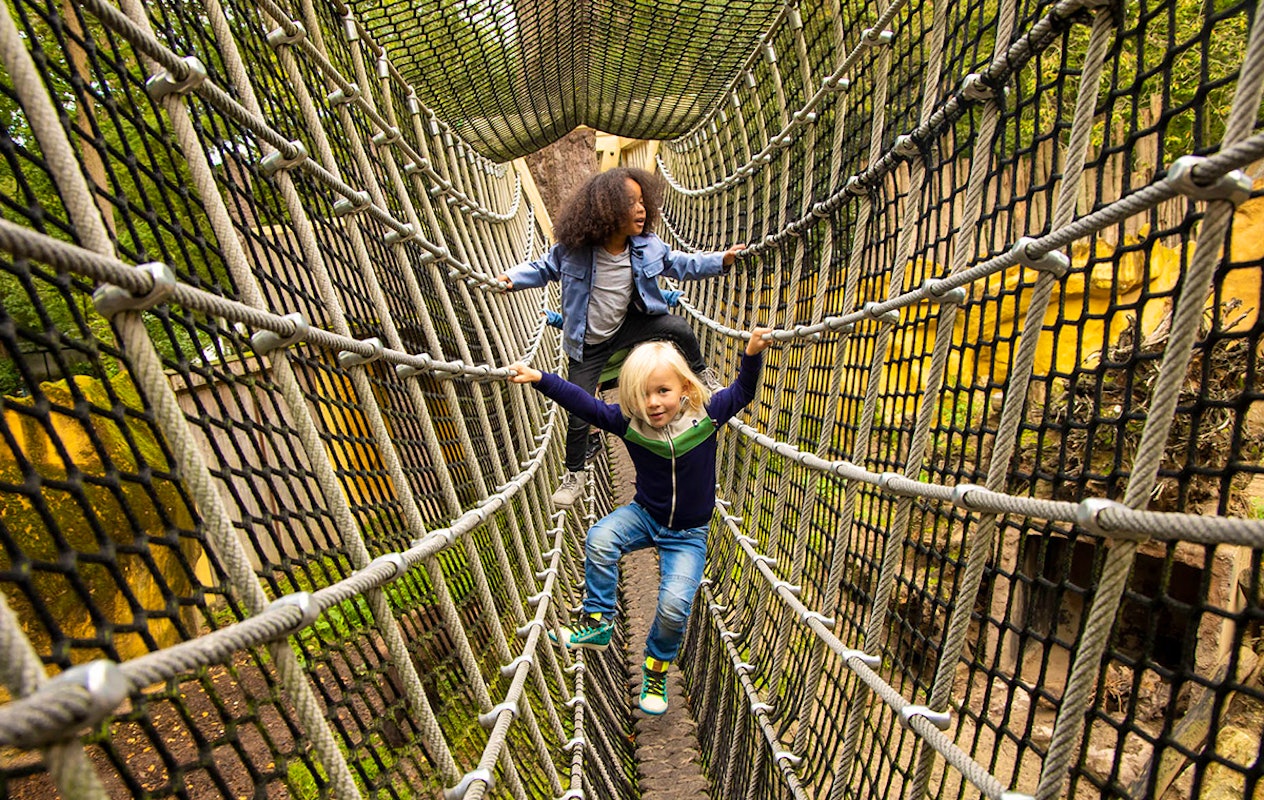 Entreeticket DierenPark Amersfoort