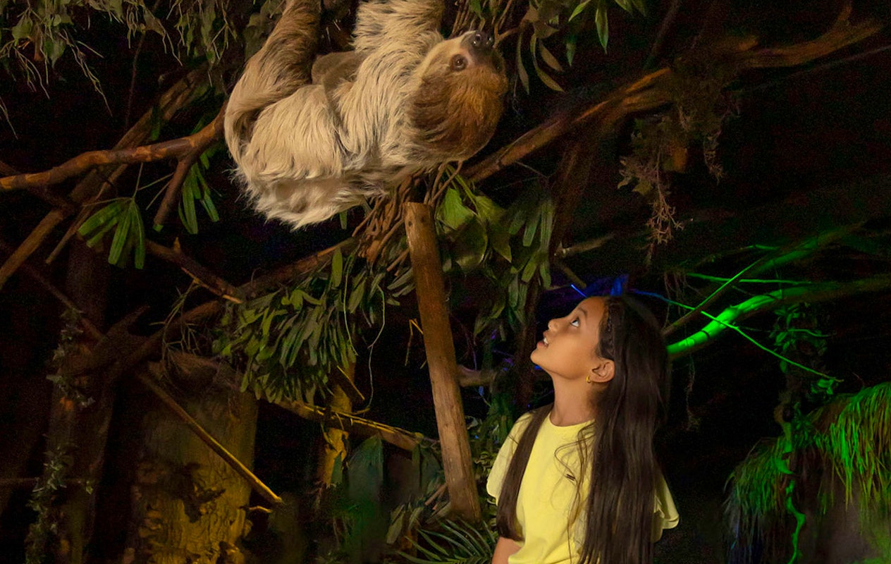 Entreeticket DierenPark Amersfoort