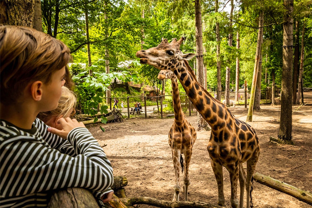 Entreeticket DierenPark Amersfoort