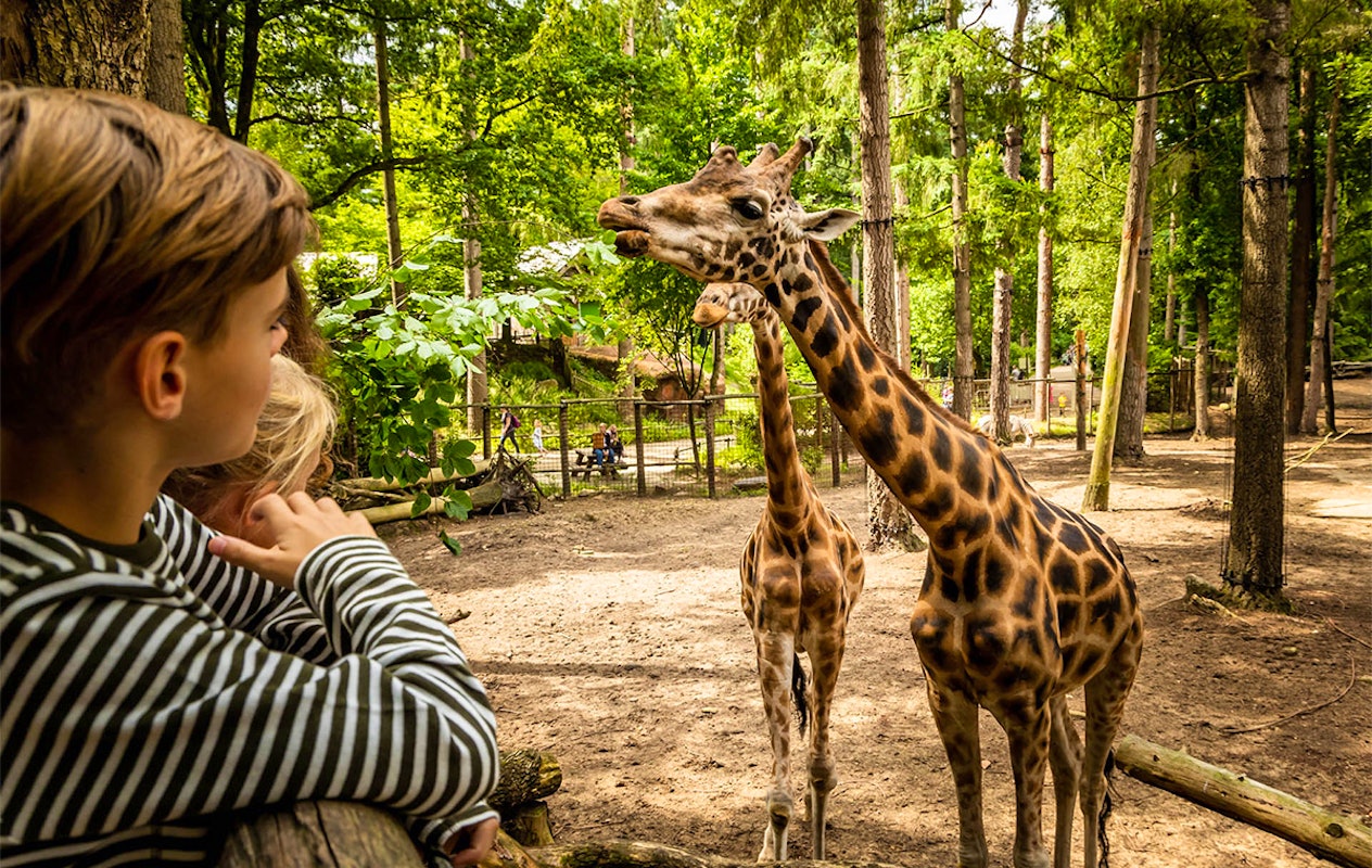Entreeticket DierenPark Amersfoort