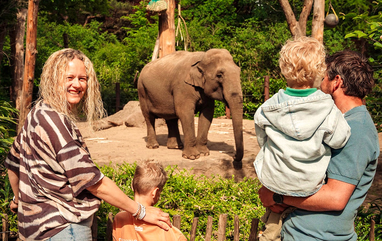Entreeticket DierenPark Amersfoort