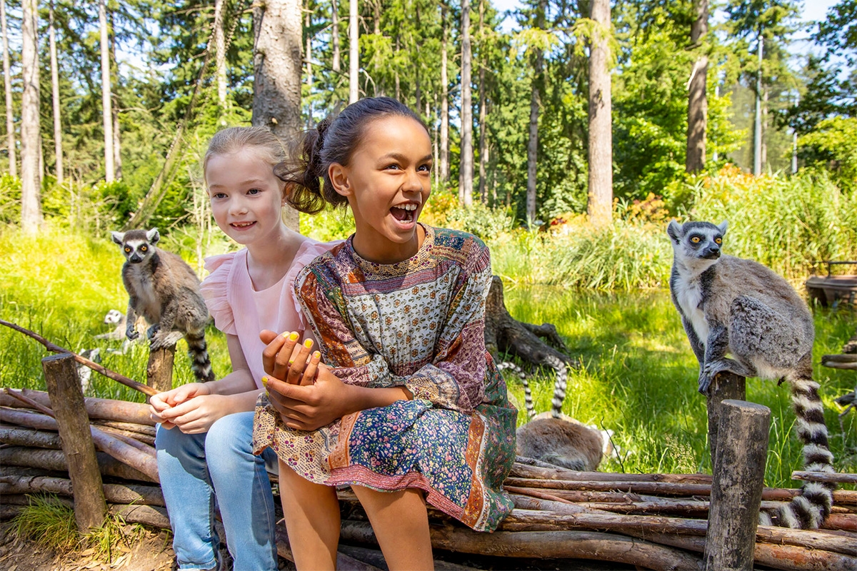 Entreeticket DierenPark Amersfoort