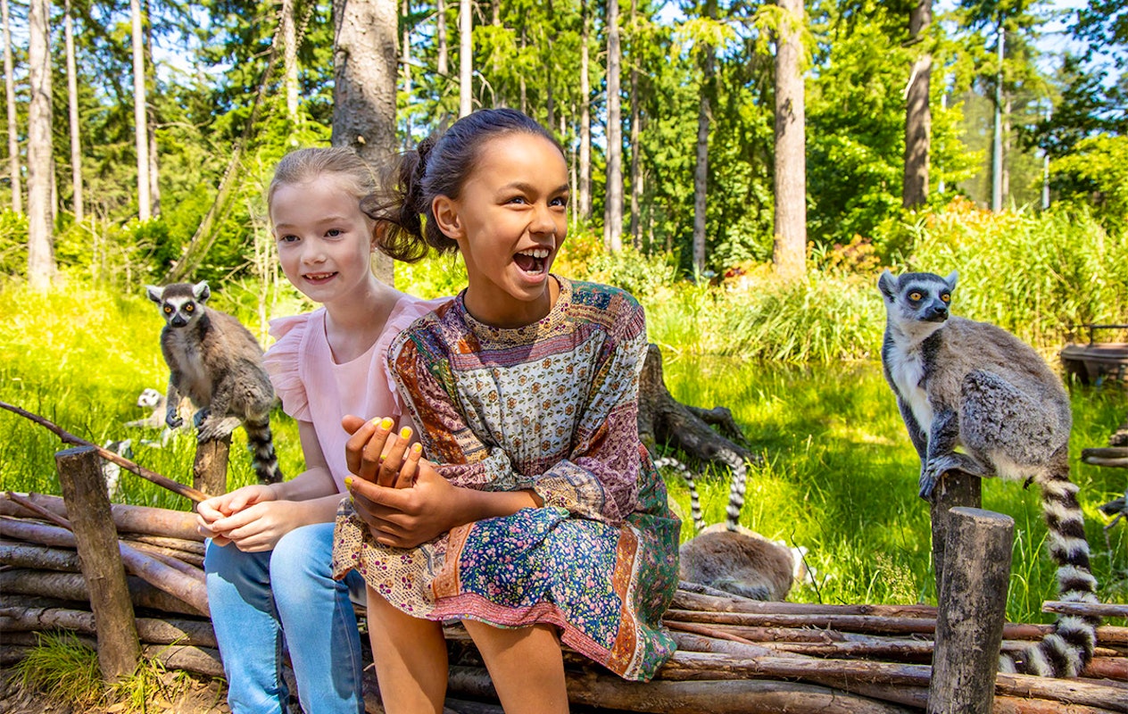 Entreeticket DierenPark Amersfoort
