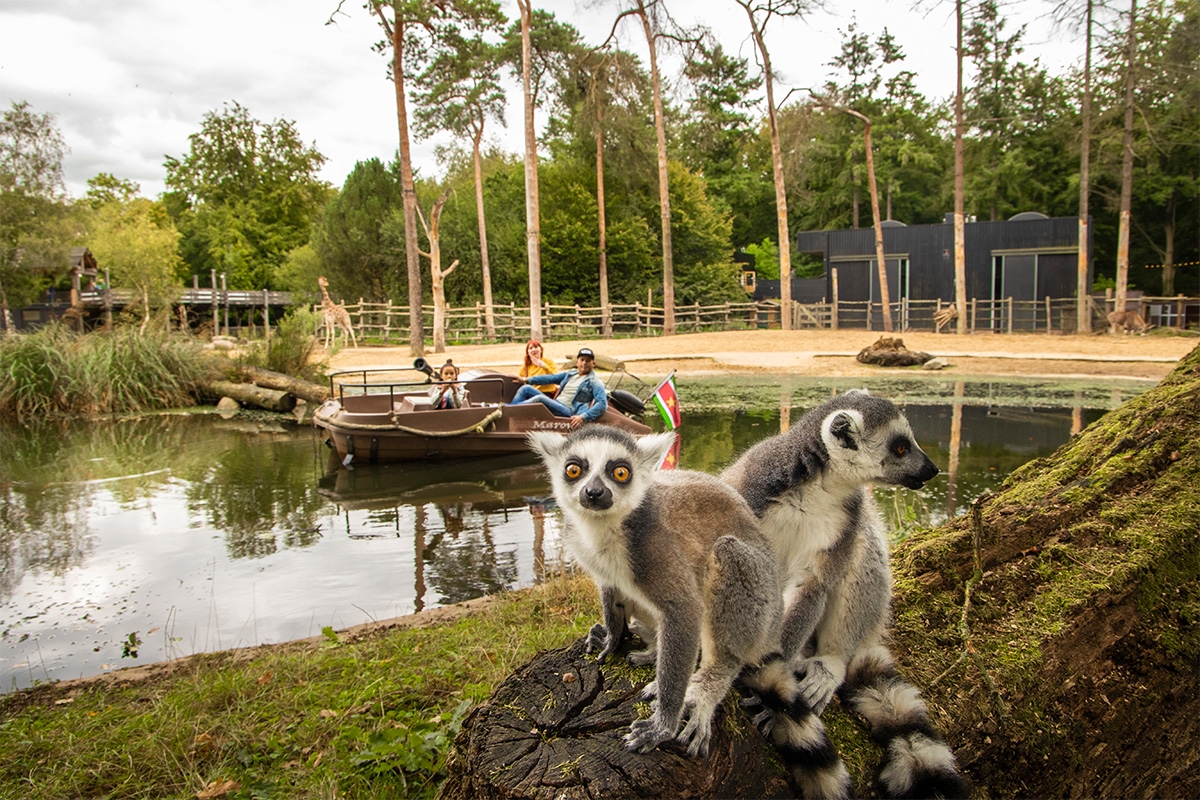 Entreeticket DierenPark Amersfoort